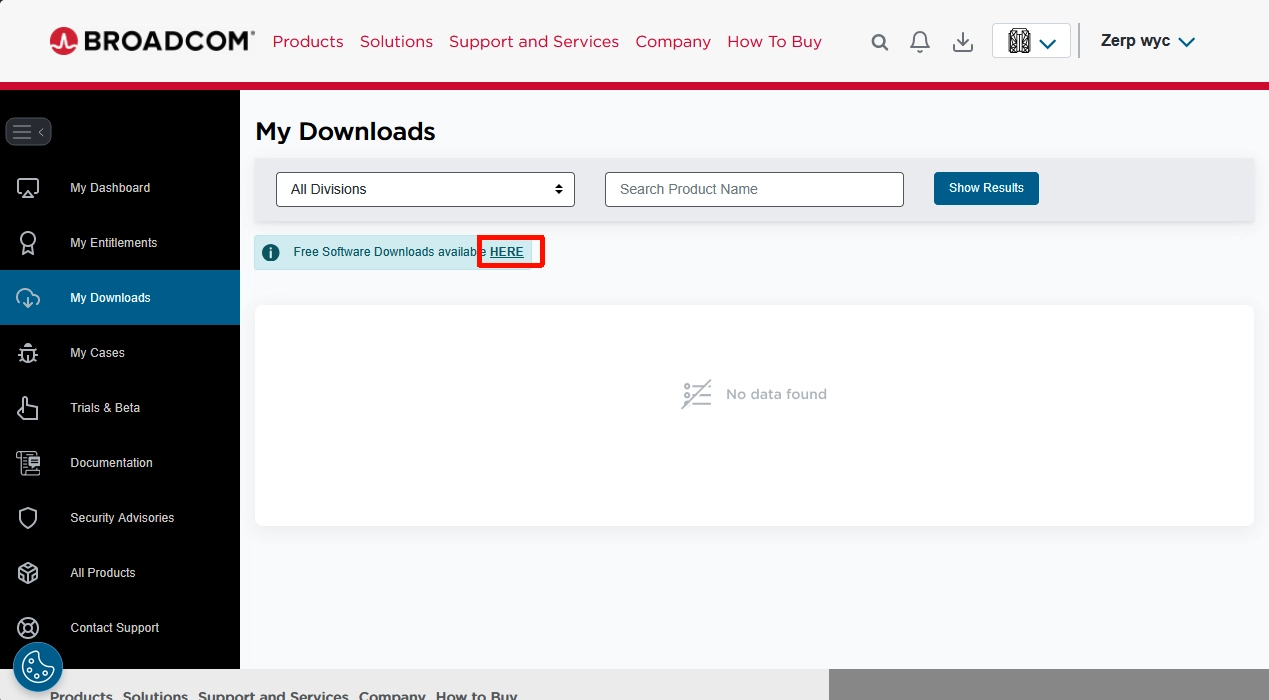 image-20251220205141828