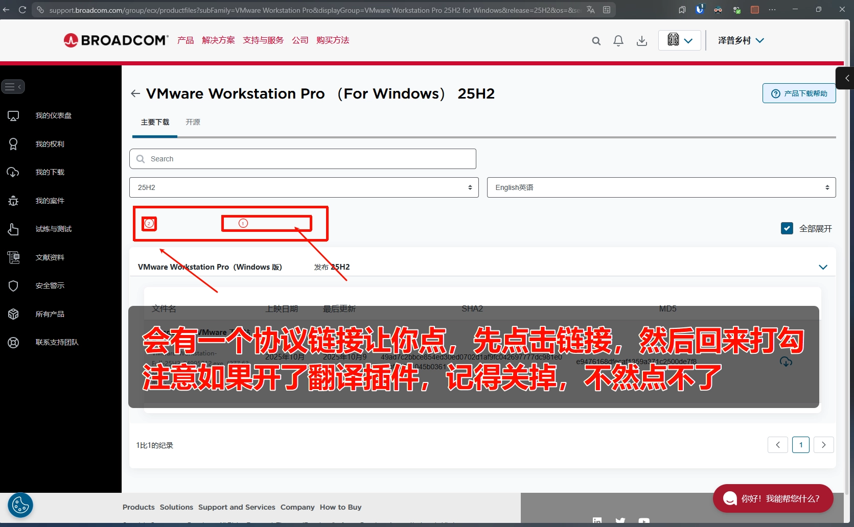 image-20251220205655313